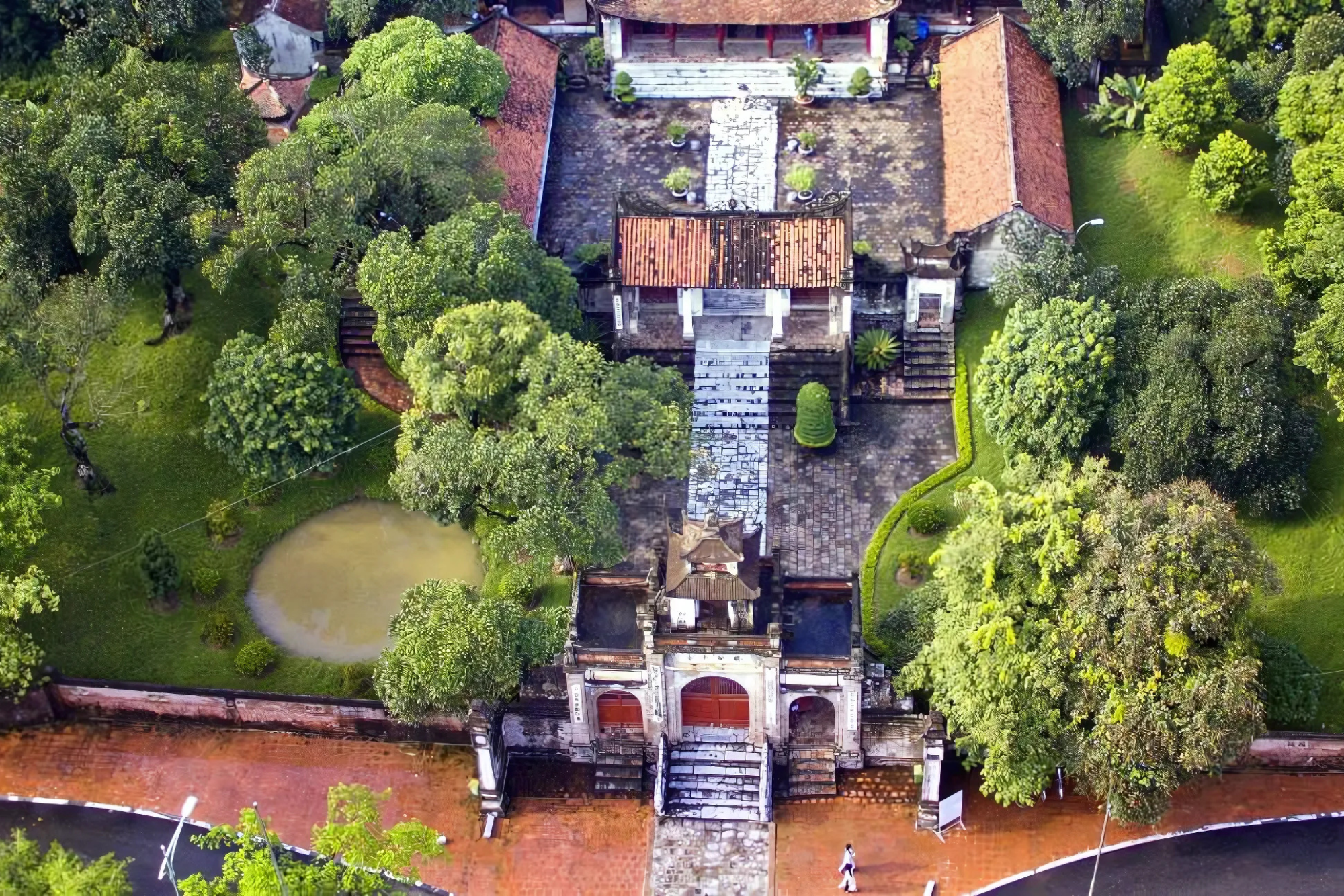 Không gian bên trong di tích được bao phủ bởi thảm thực vật dày đặc 